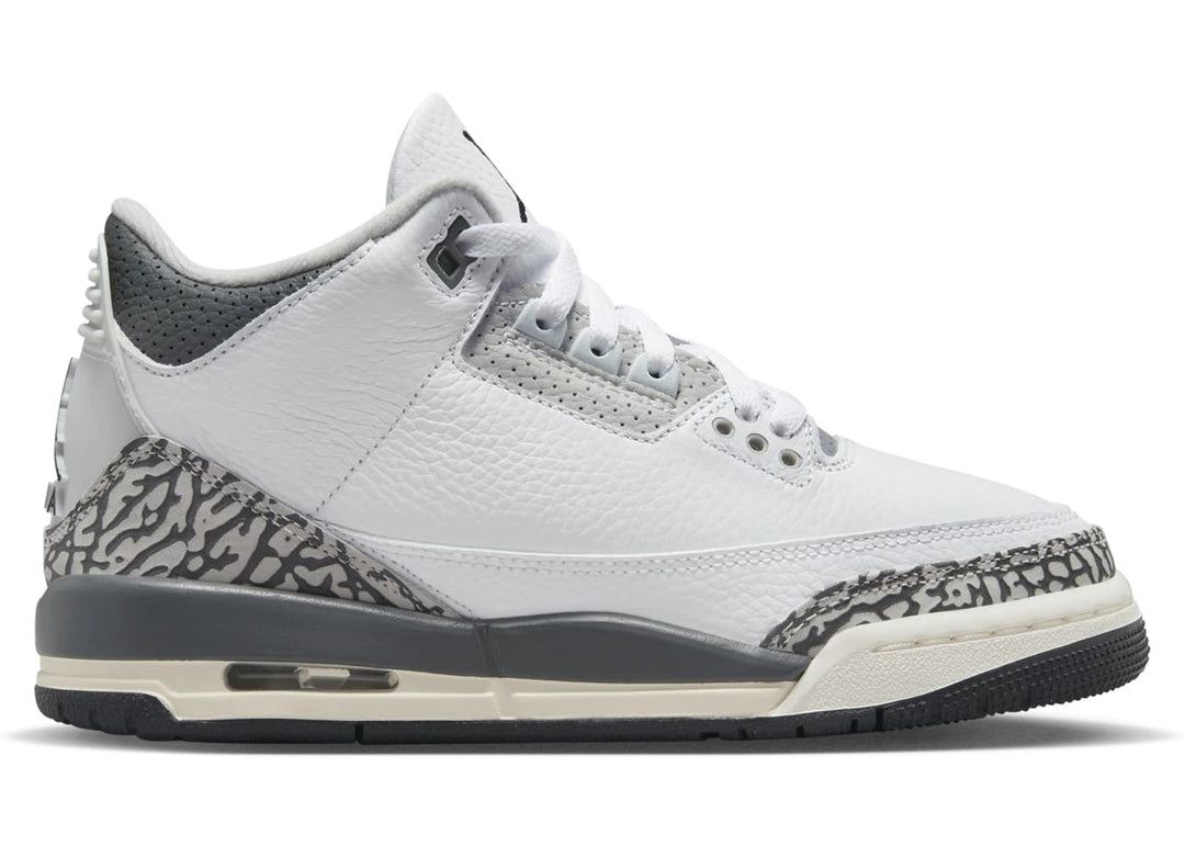 Jordan 3 Retro Hide N' Sneak (GS) – Paired Up