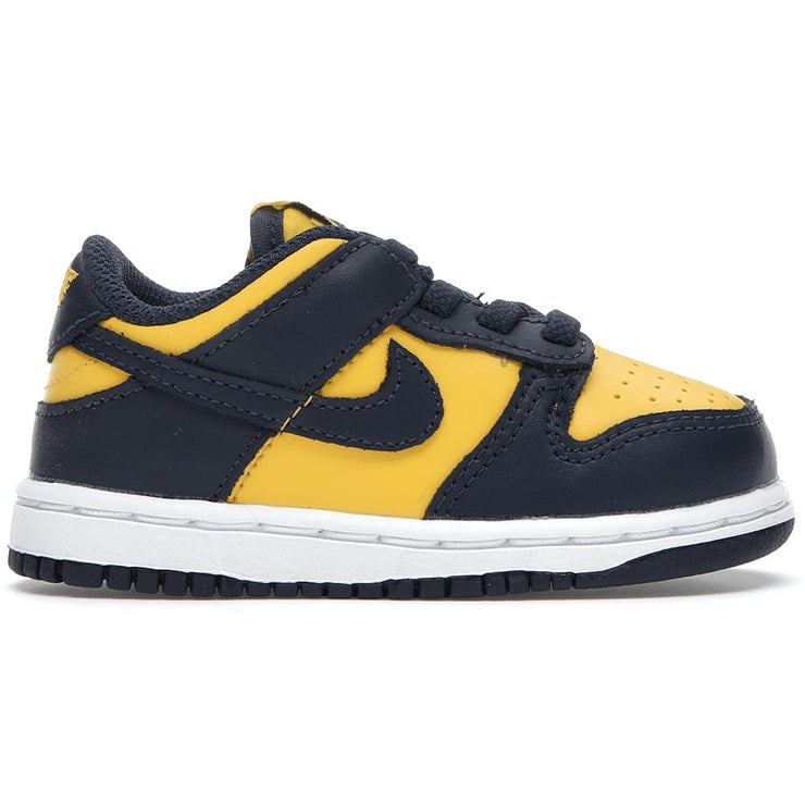 Nike Dunk Low Michigan (TD)